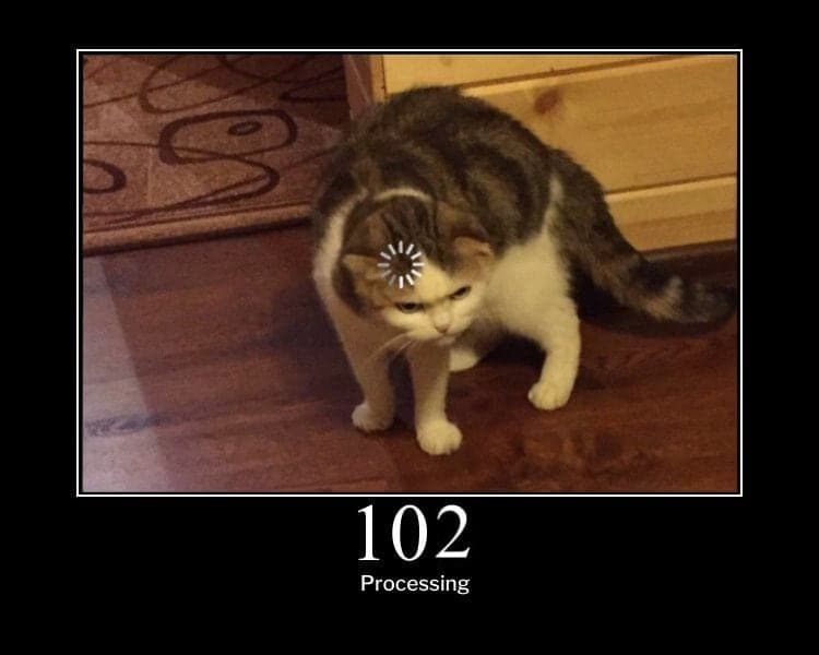 102